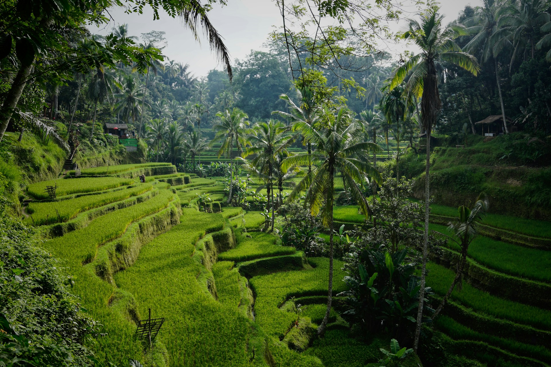 Curated Journeys for the Discerning Traveler.